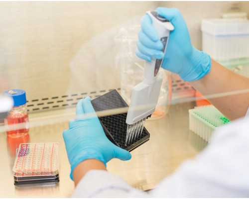 古玩市场分析,苏珊米勒天蝎座月运势2022年11月