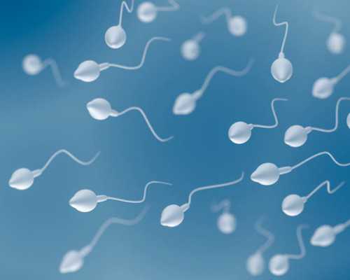 哪个平台可以卖古玩_艺术评论的套路