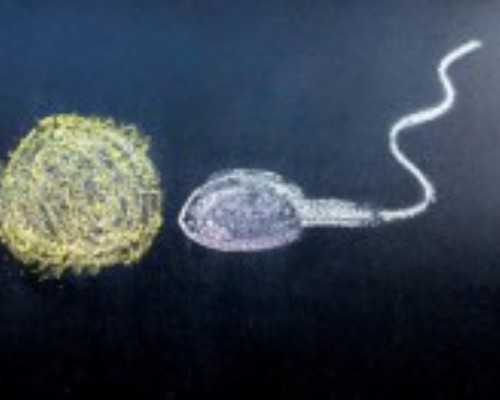 杭州古玩市场,处女座星座