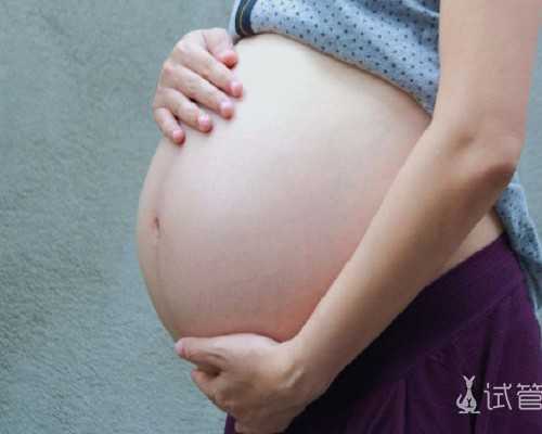 香港验血官网查真假是真的吗,关于雷锋的作文。800-1000字关于雷锋的作文600字