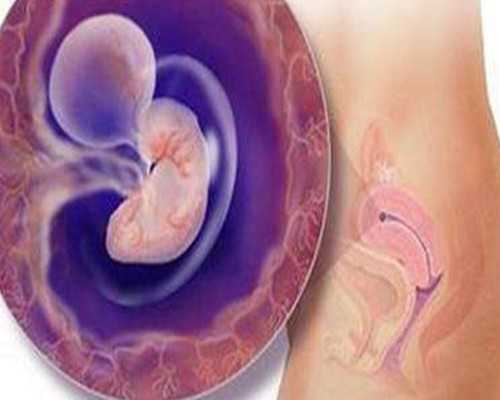 香港验血机构周末休息吗_香港查男女方法_验血查男女哪家最权威