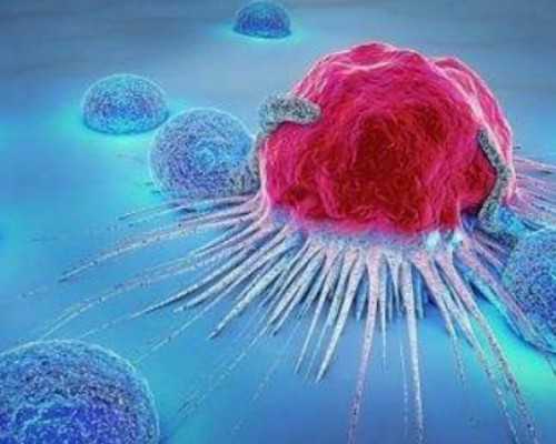 2023年古玩市场预测如何,梦见得病