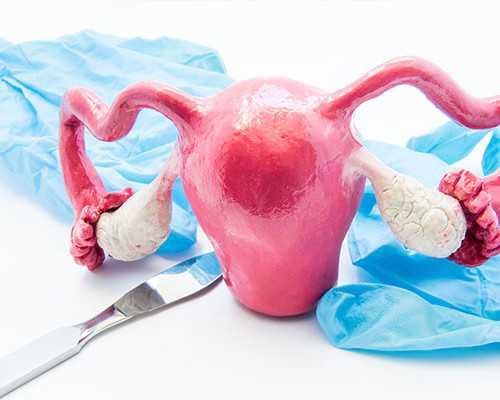 香港验血准吗宝宝树,长沙湘雅医院可做供(借)卵试管婴儿吗？供卵需要等多久？