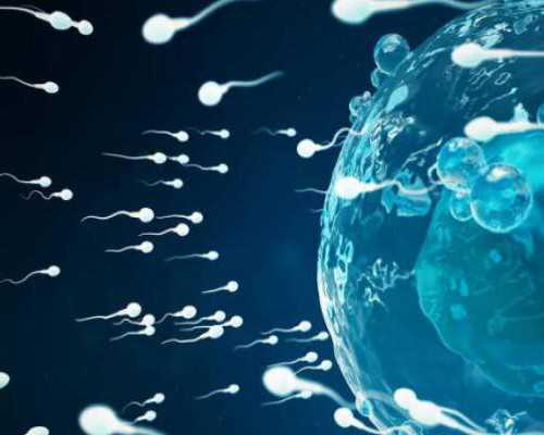 香港验血黑中介 连报告都没有_香港Y染色体验血可靠吗？Y染色体验血的准确率