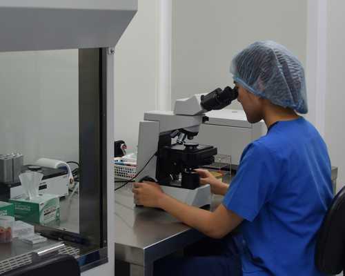 沉浮古玩虫免费完整版_春季怎么吃应季蔬菜来养生