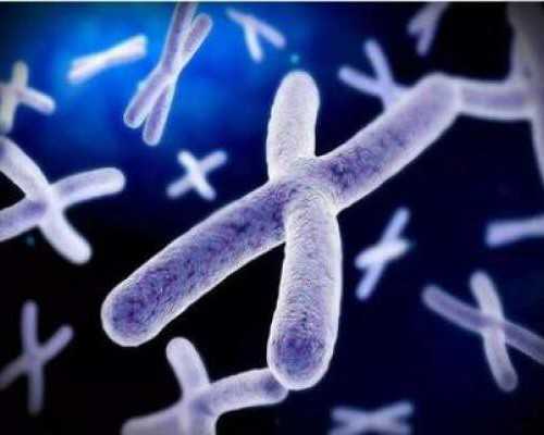 古玩交易骗局有哪些_全力雕琢内侧胸肌的要决