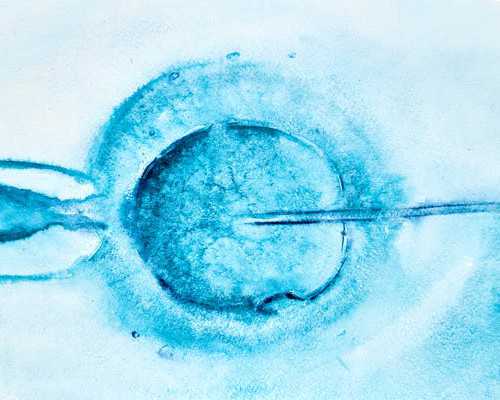 孕六周香港验血条件_5周可以到香港验血吗_验血查男女需要多少钱