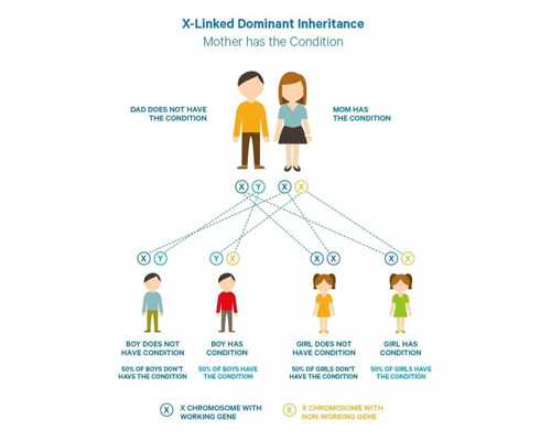 弘钰博古玩收藏_微胖男人要怎样减肥
