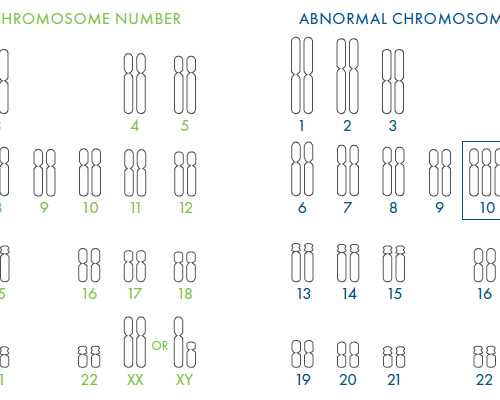 上网预约香港验血是真的吗_胎芽08香港验血准不准?怀孕几周？