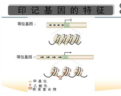 香港妇幼医疗中心验血几天出结果_抽血没y染色体也生男孩，本人亲身经历讲述