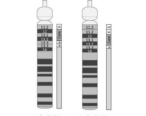 香港达雅高验血女却生了男孩有吗,不孕不育症能治好吗