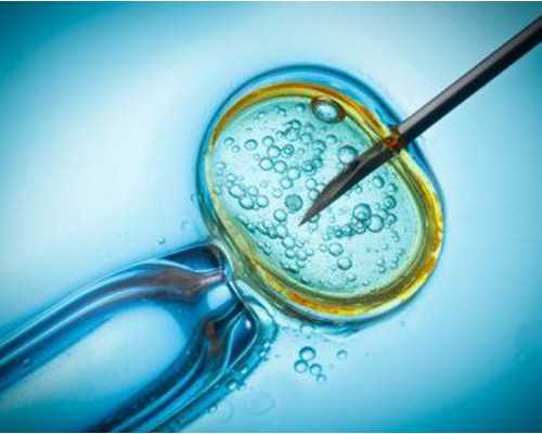 香港6周验血kingda_香港验血男女费用多少?各种具体流程揭晓