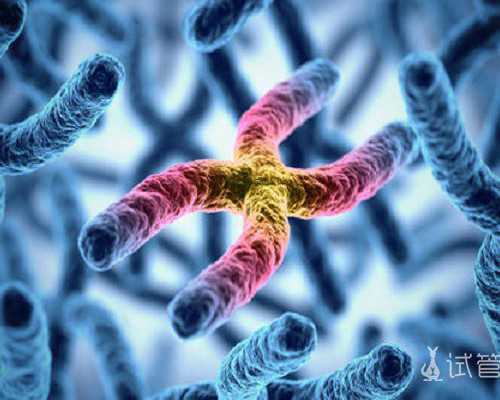 香港验血能否查出男女,三代试管囊胚移植一次成功着床的多吗?
