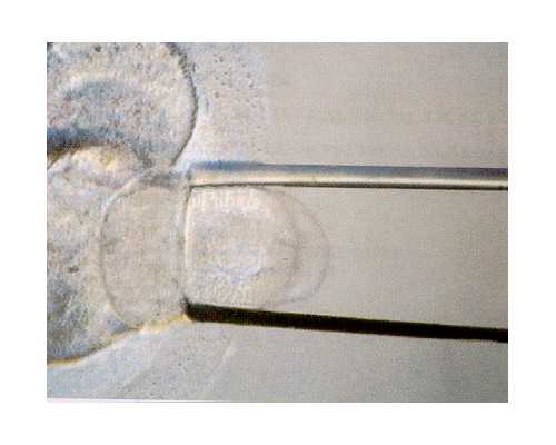 古玩网,北漂妈妈的喜与乐