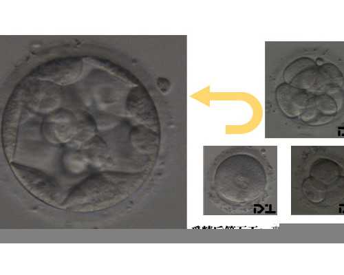 香港验血要多少周_最全攻略在这,怀孕到香港去验血怎么弄
