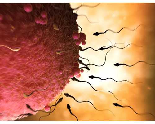 香港验血两家化验所不同的结果,月经最迟推迟几天,月经推迟几天可以到医院验