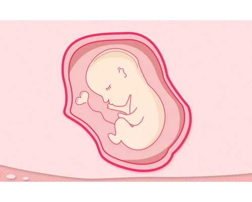 香港验血多少钱？2025揭晓个人真实经历告诉你 打胎后多久可以验血做男女
,香