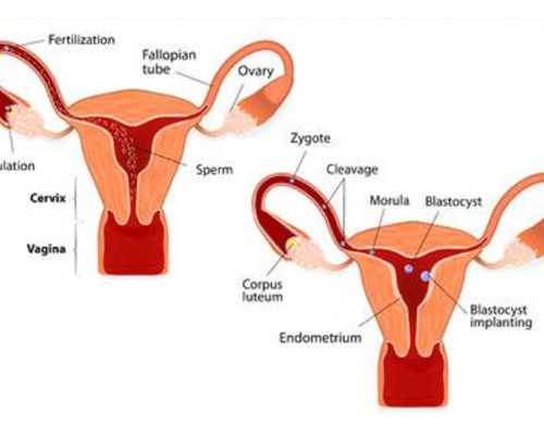 香港检查男女要多少天,验血女孩竟然翻盘,香港验血邮寄中介