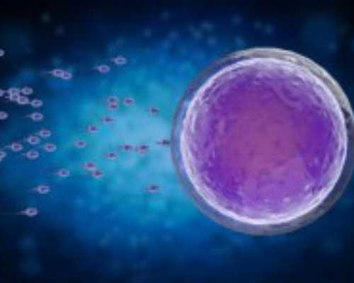 2025香港验血查男女准不准，权威验血机构为你解 七周验血测男女准吗图片
,通