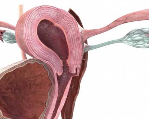 香港验血怎么找医院_为你总结2024我的成功验血的,怀孕香港验血中介