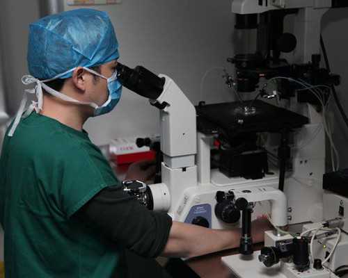 香港验血查男女的公司哪家好_dna胎儿性别是骗人,七周香港验血准不准的