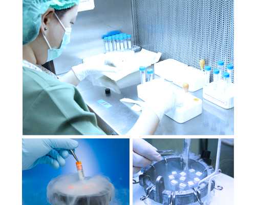 香港验血寄血可以保存多久,流产5个月怀孕香港验血准吗_验血查性别哪个验机构