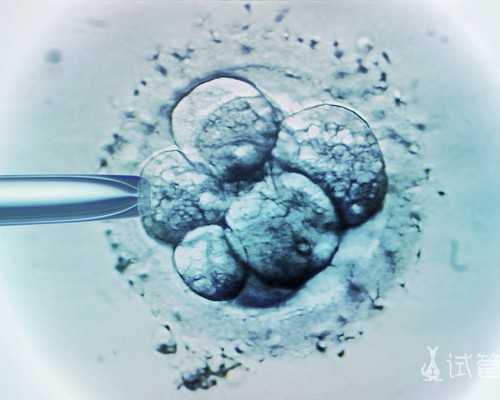 香港时代基因验血有不准的吗,香港验血孩子xy的性别_验血查男女准不准!