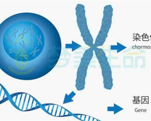 香港验血四十六天知道男女嘛,香港中介验血男生了女儿_测胎儿性别机构哪家好