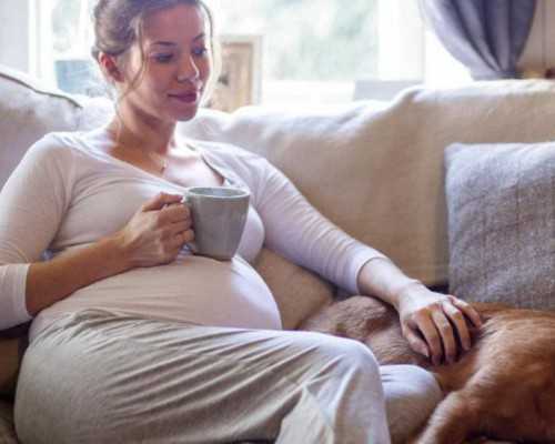 怀孕48天可以香港验血吗,超龄申请香港定居要验血吗_验血查性别化验所哪家准