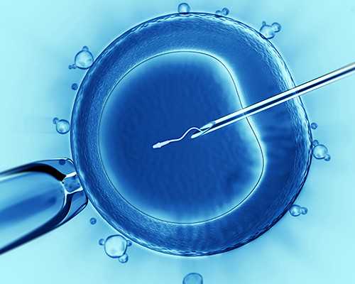 古玩行的秘密电视剧演员表,推荐10部经典的丛林探险题材的电影，看的心里蹦蹦