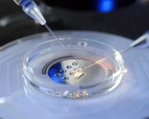 快速的DNA判定规范正规资质,香港怀孕7周验血