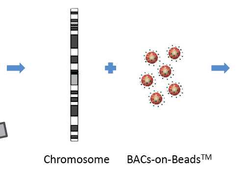 深圳香港验血_希望可以提醒到你,孕九周香港验血玩吗