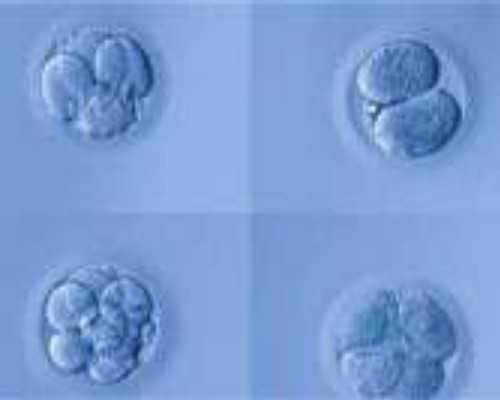 香港验血测男女怎么测？，高端技术检测准确率,香港验血四大权威机构