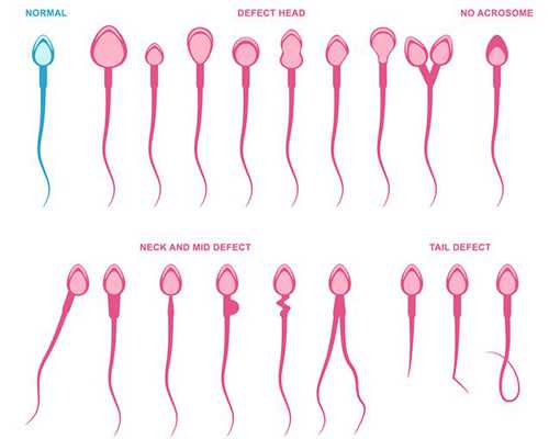 香港化验血两次结果不一样,怀孕42天香港查男女_验血查性别有什么需要注意的