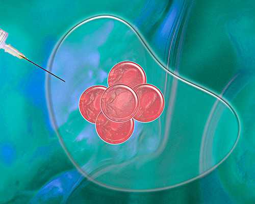 香港验血需要多久出结果,香港验血查男女要什么流程_用我的经历告诉大家