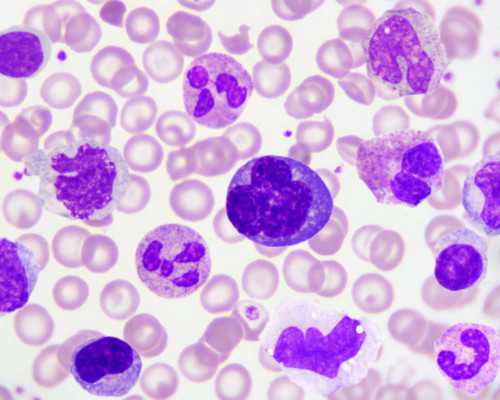 香港怎么验血知道男女？为你总结2024我的成功验,福建香港验血的中介