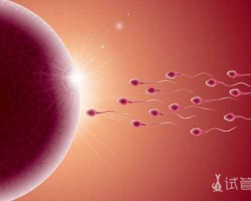 天津私下交易古玩钱币,属马白羊座和属兔射手座最配吗感情运势解析