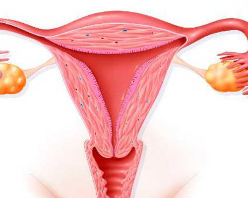 香港抽血鉴定胎儿有不准的吗
 消息：哪个医院可以验血查男女——香港医院哪