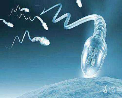 香港验血查胎儿性别靠谱吗_你知道的或许就在这,为要儿子香港验血流产两次