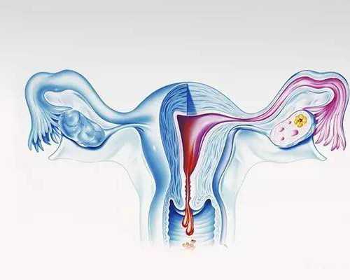 香港验血男女验了两次,15周看胎儿性别准确率宝妈亲身经历