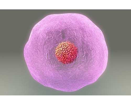 香港验血邮寄会变质吗,11周了可以香港验血吗_鉴定性别是男宝_有可能翻盘吗