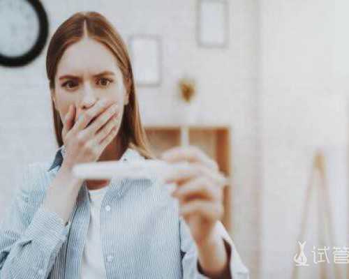 7788收藏古玩交易网飞机模型箱子,黄瓜拌鸡蛋的做法