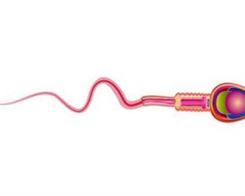 正规免费鉴定古玩鉴定地址,《垫底联盟》燃爆电竞圈 SKY小苍小智等电竞大神打