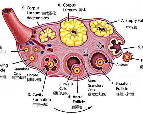 古玩鉴定小说主角姓唐,最容易早婚的星座排行