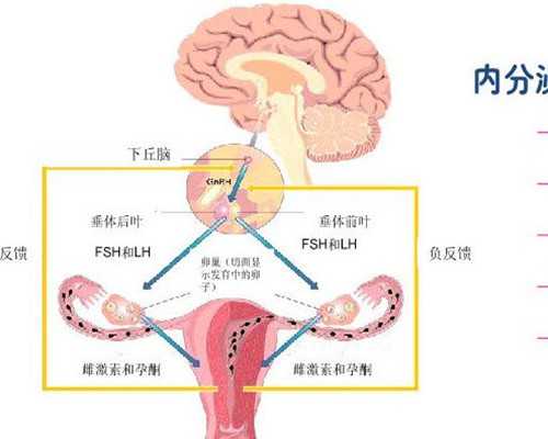 半年内流产又怀孕可以验血吗香港,男的婚前检查会检查艾滋病吗