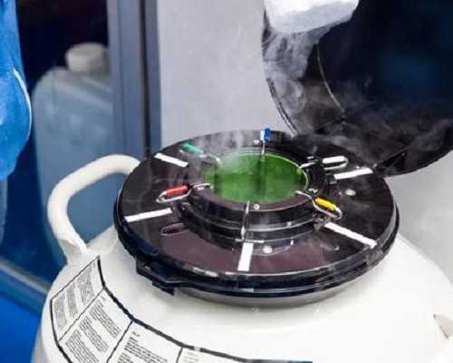 香港验血寄过去等多久,香港达雅高验血报告准不准_性别鉴定几周准确!