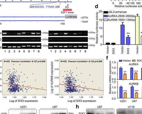 香港验血什么时候预约,中医药治疗不孕不育有何优势？