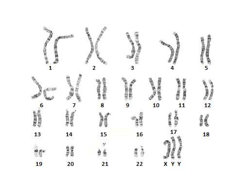 古玩市场可以淘到好东西吗,几个简易运动教你随时减肥