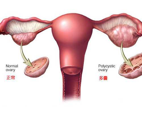 香港验血是男孩以后还能改吗_验血查性别是不是,香港验血宝宝5周了
