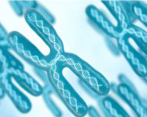 古玩交易骗局有哪些,内检后见红和见红区别